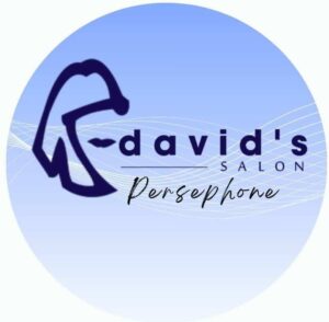 DAVID’S SALON